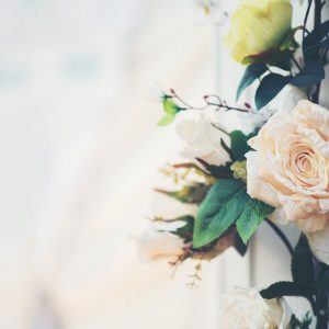 roses-background
